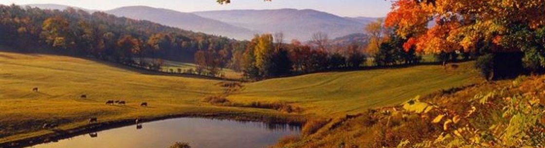 Vermont Arborists, Stowe VT