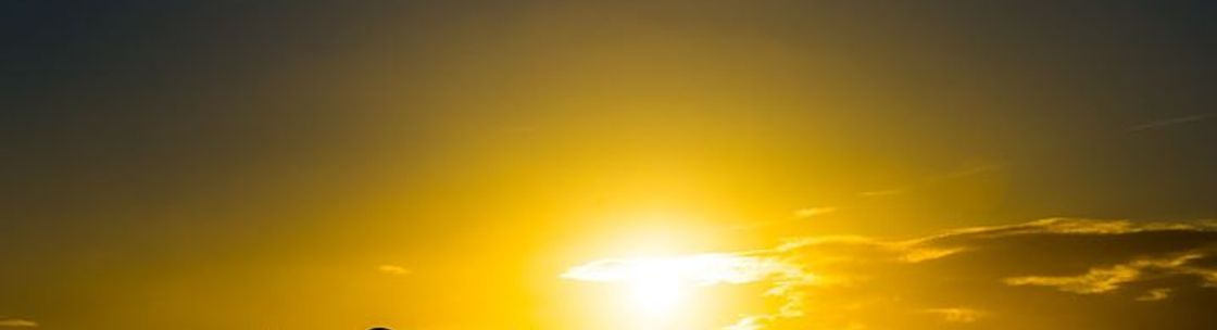 Patrick Larson Photography, Austin TX