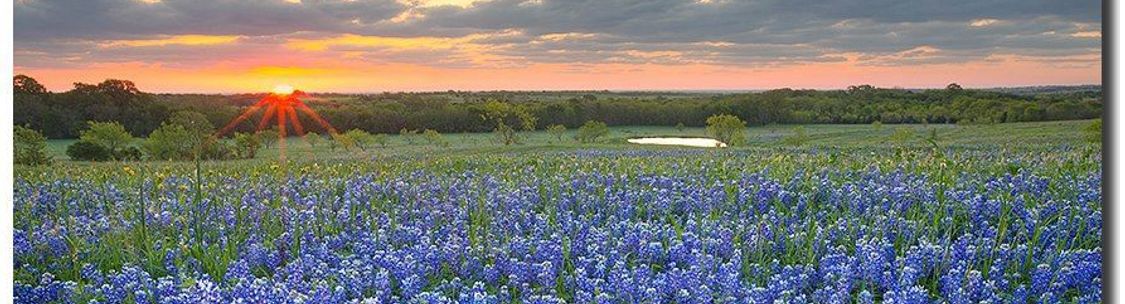 Texas Hills and Lakes Real Estate, Spicewood TX