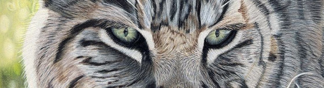 Tracey Chaykin Fine Art, Napa CA