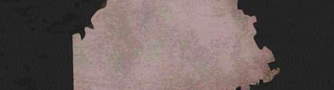 Wellness mobile Foundation , Sabattus ME