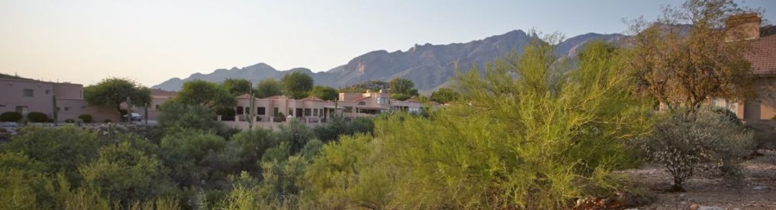 Patsy Sable - Long Realty Company, Tucson AZ