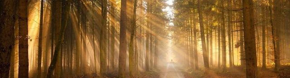 Angel Of Hope, Psychic Medium Reiki Master, Glen Cove NY