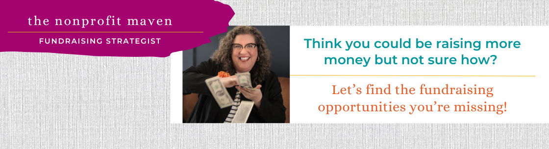 The Nonprofit Maven, Gainesville GA