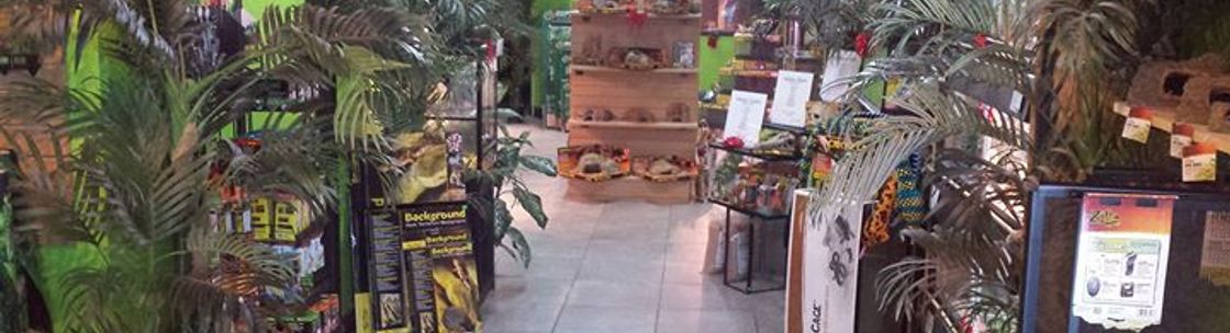 lost world reptile store