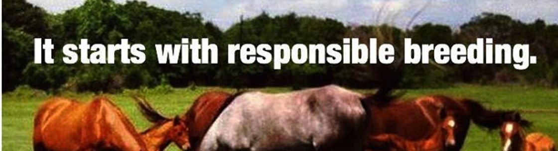 US Horse Welfare and Rescue Org, Avon CT