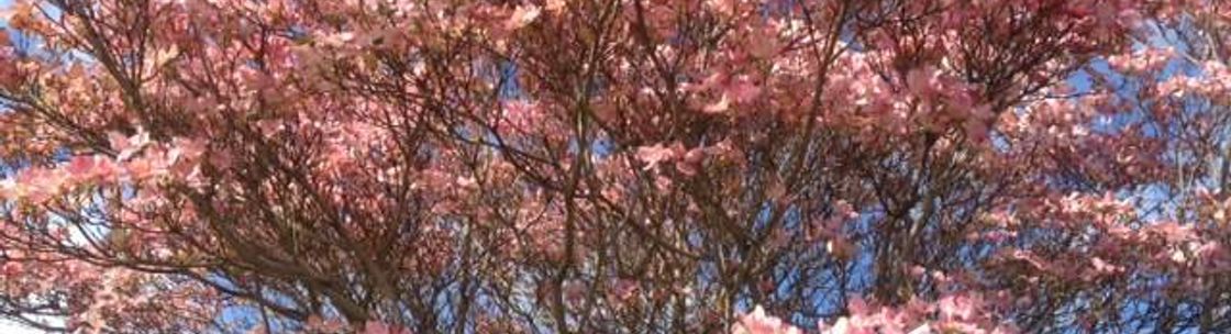 HOW2GetOrganized, LLC, Bothell WA