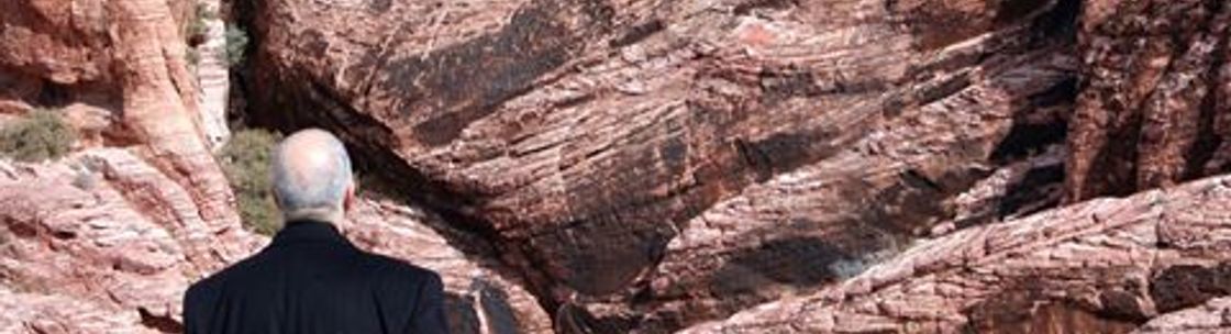 Ron Lester Business Consultations, Middleburg Heights OH