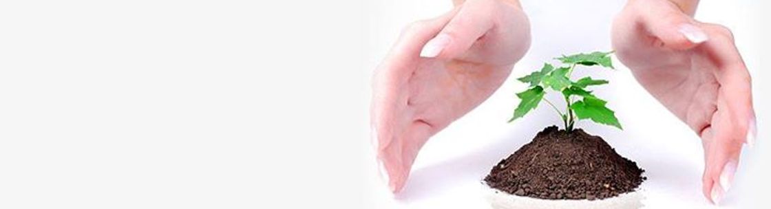 Infiniuminsights Business Consulting Group, Jacksonville FL