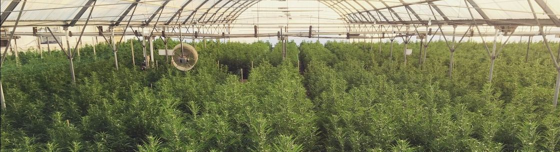 Crockett Family Farms, Squaw Valley CA