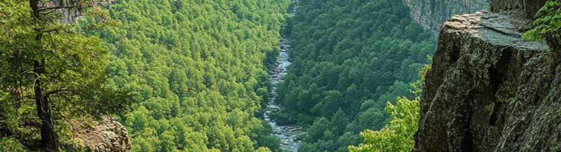 Safe Pro services, Amelia OH