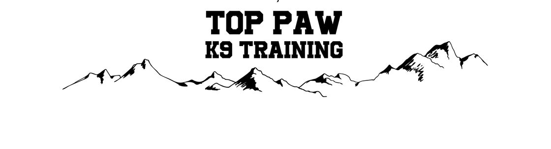 Top Paw K9 Academy, Denver CO