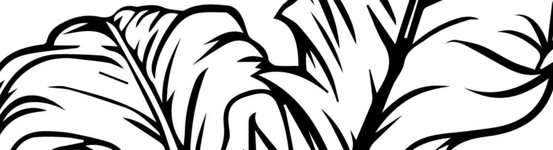 Hetman House Media, Bend OR