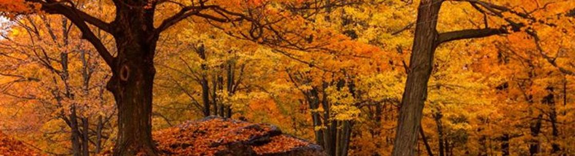 Lorell Management Corp, Norton MA