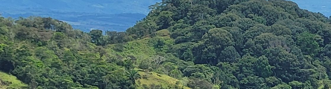 Faith Driven Leader, Crown Point IN