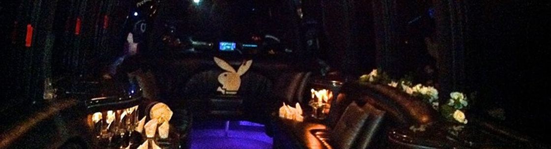 prestige limo, Hortonville WI