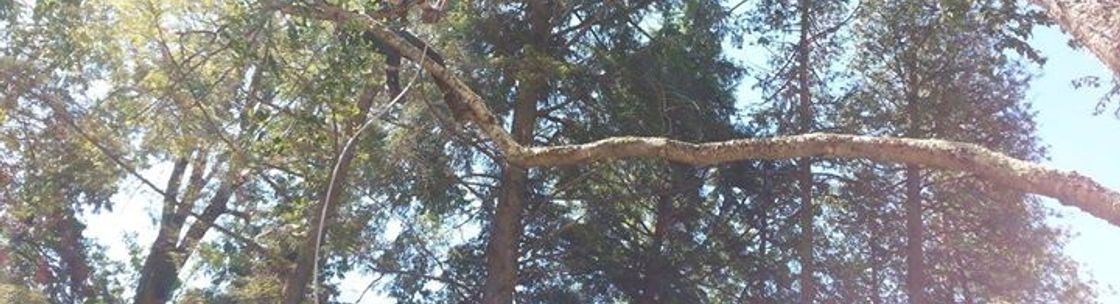 Outram Tree Solutions, Minden ON