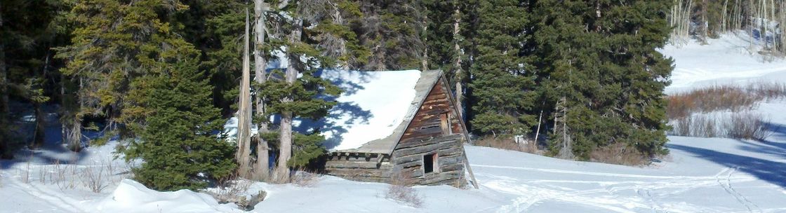 Aspen Financial and Insurance Solutions, Loveland CO