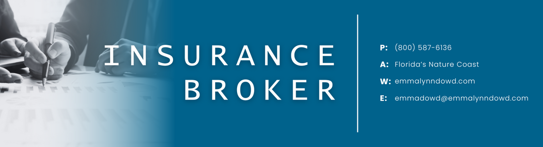 Emma Lynn Dowd Insurance Agency, New Port Richey FL