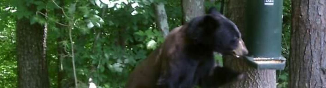 Lou Gravity  Feeders, Cumming GA