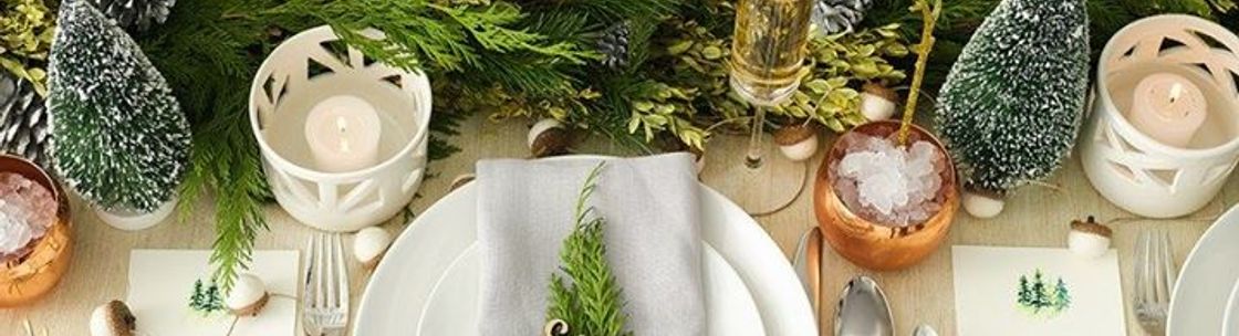 Ivory Isle Designs, Waconia MN