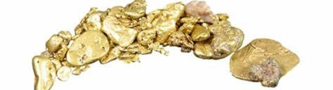 Golden Nuggets Online Community , Holland MI