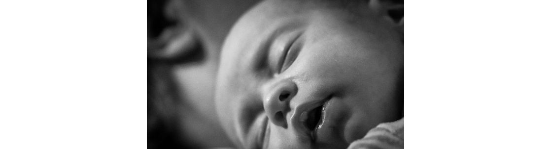 Bay Area Placenta Services, San Francisco CA