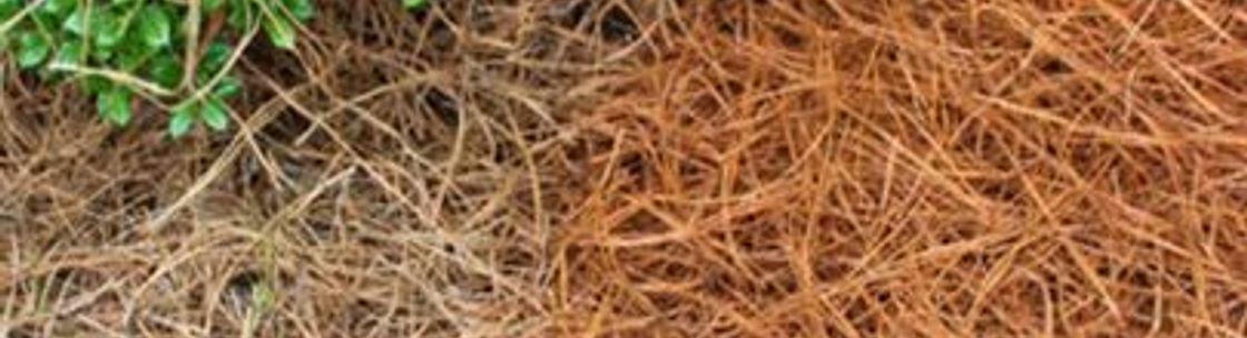 DVICKERS ENTERPRISES LLC, Havana FL