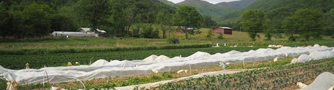 Ivy Creek Family Farm, Barnardsville NC