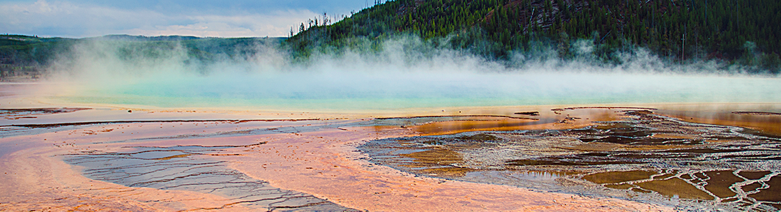 Contemporary Art of Sandra Reff, Middletown OH