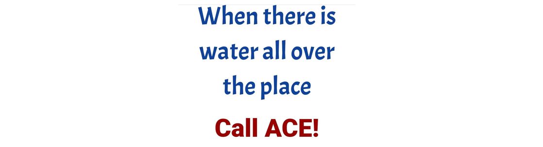 Ace Flood Response, Olympia WA