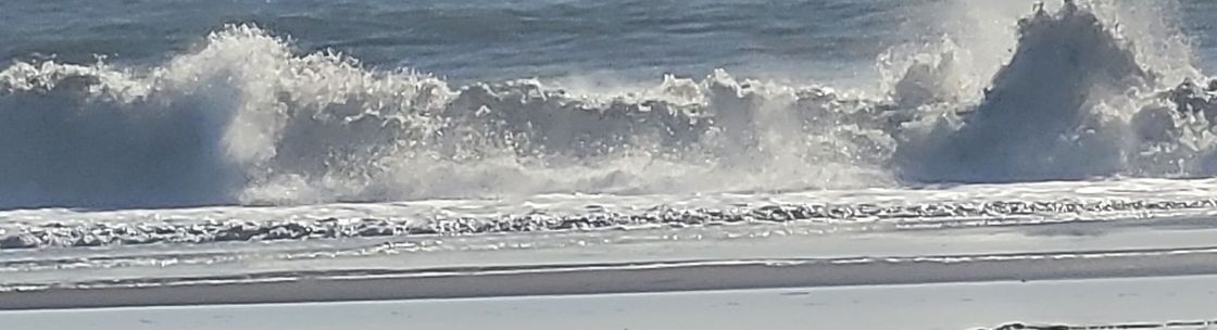 A Tender Touch Senior Placement, Ventura CA