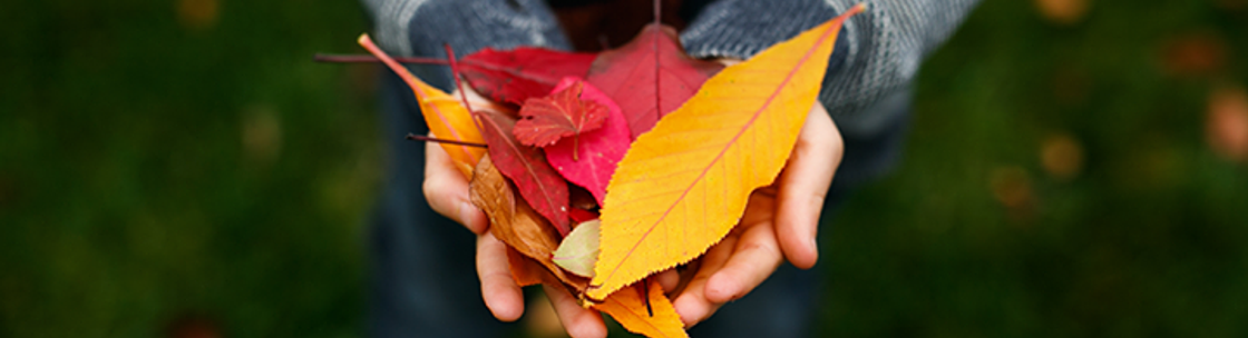 Thomas Kulak Allstate, Kingston PA