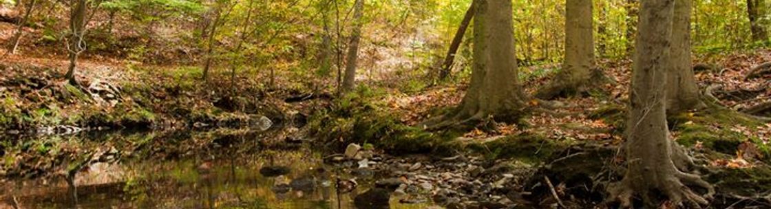 Darcy A. Shoop, LLC, Rockville MD