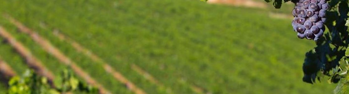 Tyrrell Enterprises, Inc., Temecula CA