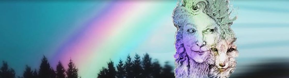 the New Medicine of the Old Ways, Evanston IL