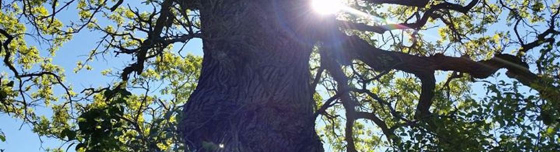 OHS Landscape Group, Cambridge ON