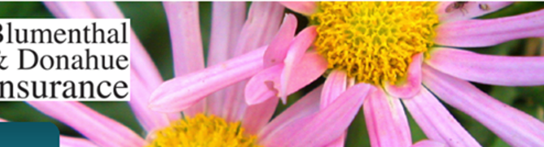 Blumenthal &amp; Donahue Insurance LLC Southington, CT