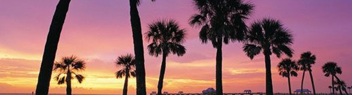 Future Home Realty, Tampa FL
