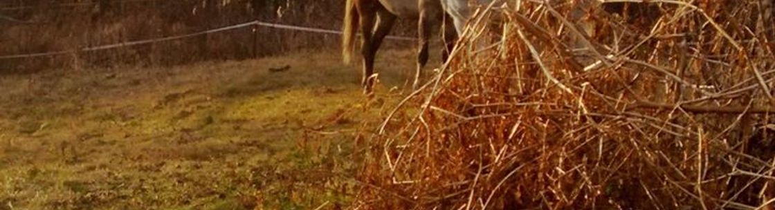 Full of Grace Farm, Hadley MA