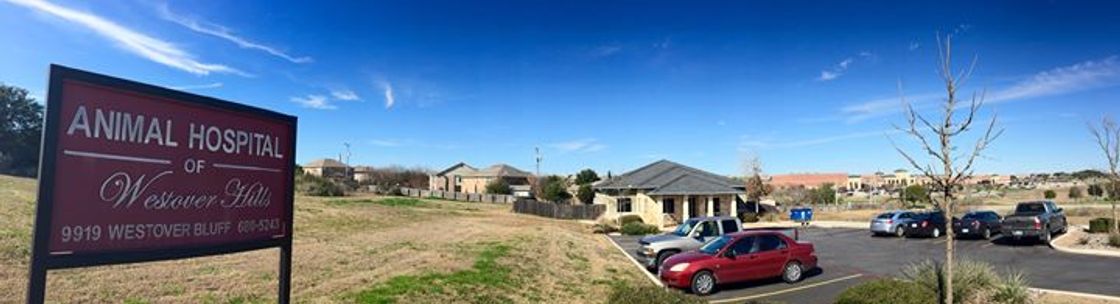 Animal Hospital Of Westover Hills San Antonio Tx Alignable