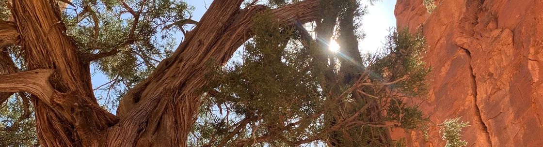 Seth Gregory Design, Northampton MA