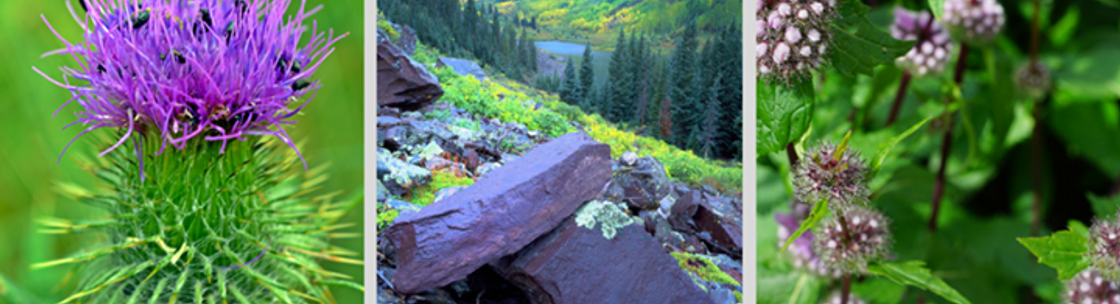 Thistle & Mint Catering and Personal Chef, Castle Rock CO
