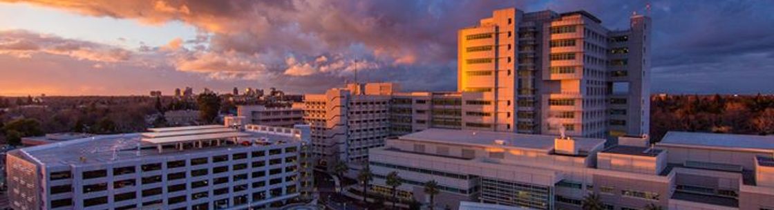 By Word of Mouth Gourmet Chef Services, Sacramento CA