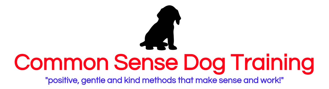 Common Sense Behavior Services, Santa Rosa CA