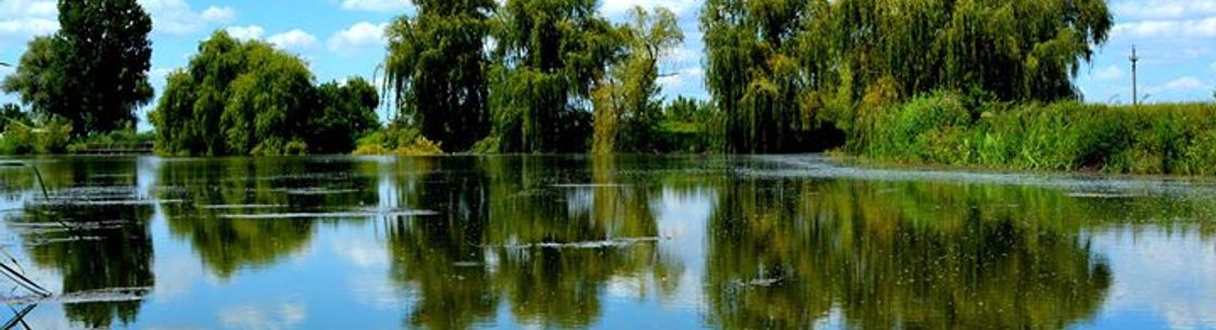 Willow Clinic of Natural Medicine, Lombard IL