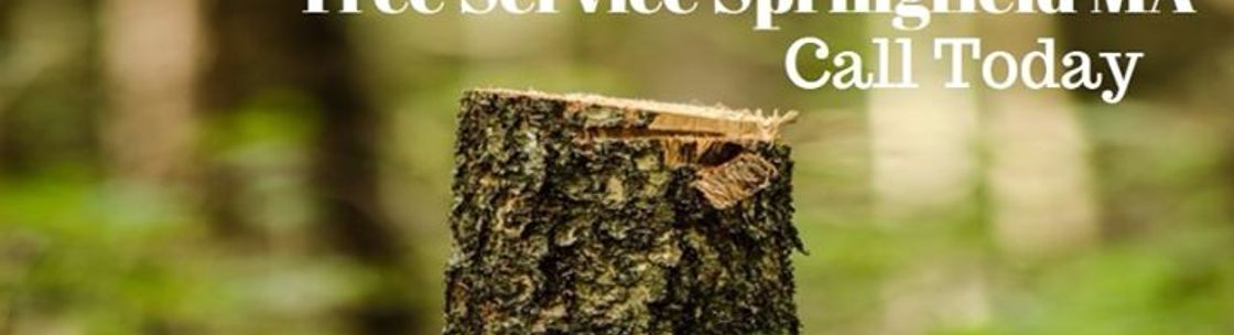 Tree Service Springfield MA, Springfield MA