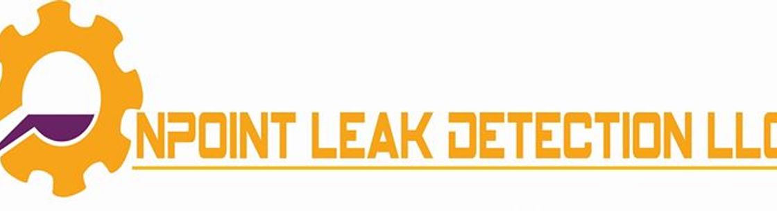 Onpoint Leak Detection, Orlando FL