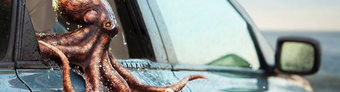 First Priority Insurance Agency Morrow, GA Alignable