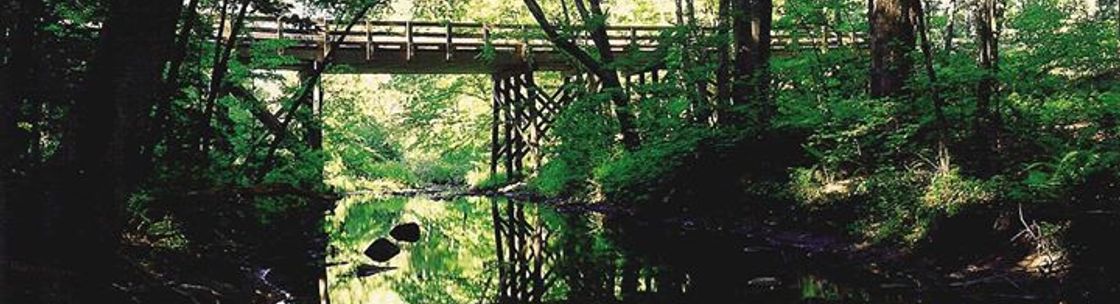 Chandler llc, Greenwich CT